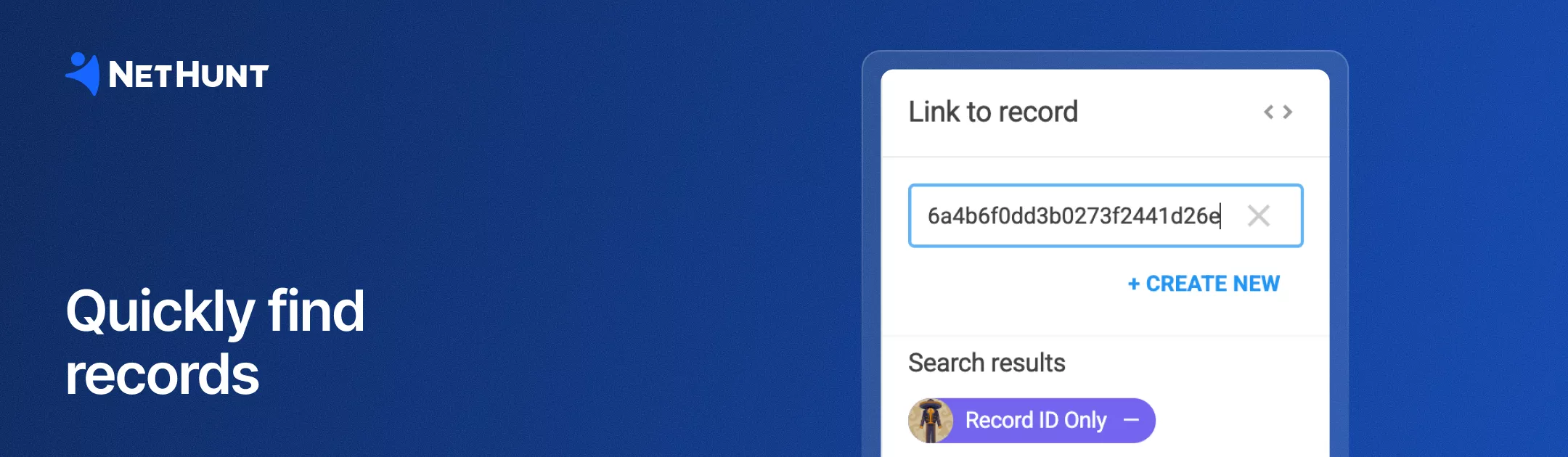 NetHunt CRM - Search records by Record&nbsp;ID